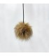 Pompon Marron